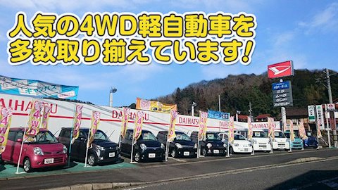フラット7 安芸高田
